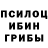 Галлюциногенные грибы мицелий Daffa Bbid