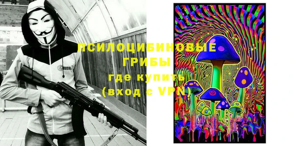 прущая мука Магас
